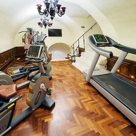 Arcadia Boutique 4* ברטיסלאבה
